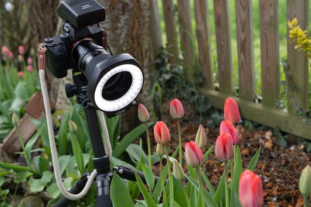 LED Ringlicht Ultra 60 - Image 3