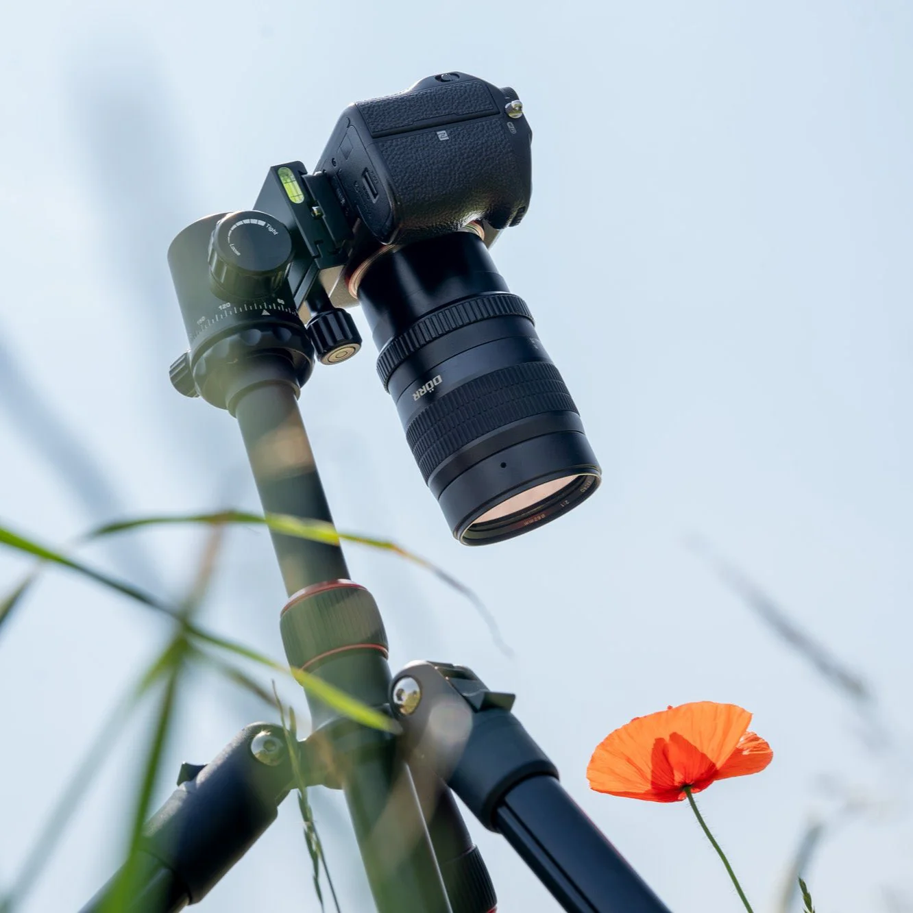 Macro Objektiv 60mm f/2,8 - Image 4