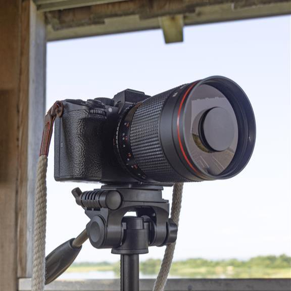 Spiegel Teleobjektiv f/8,0 T2 Anschluss - Image 5