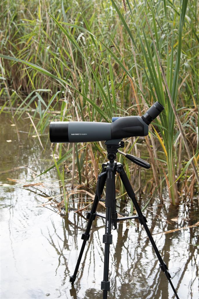 Zoomspektiv Rain Forest - Image 10