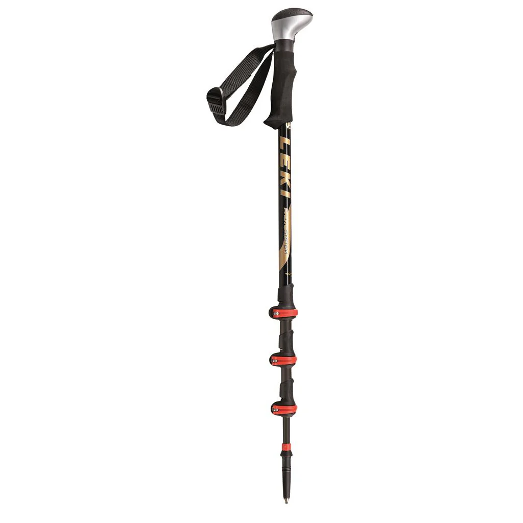 LEKI Trekking Stock Photosystem FS Carbon schwarz/gold/silber